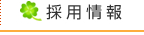 採用情報